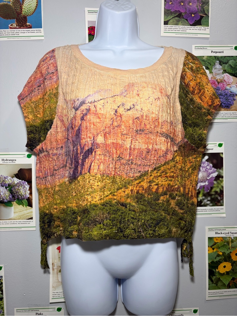 Pilcro Scenic Landscape Crop Top in Green, Tan and Orange